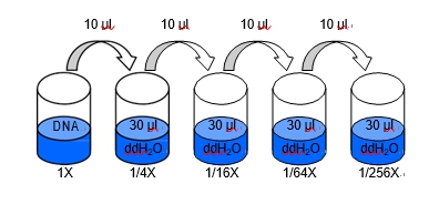 Four Fold Serial Dilutions