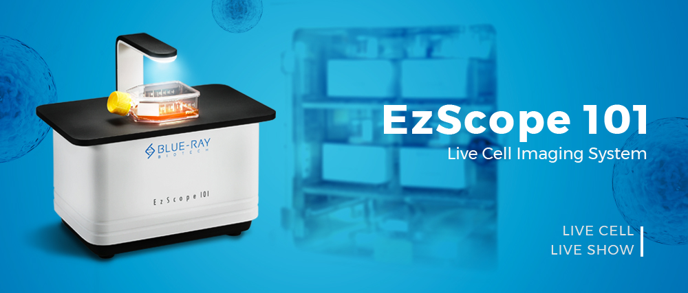 EzScope live cell imaging system_Blue-Ray Biotech